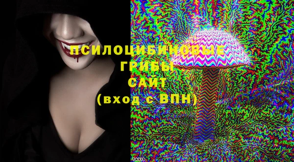 эйфоретик Арсеньев