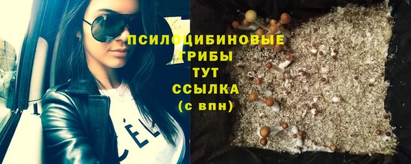 эйфоретик Арсеньев