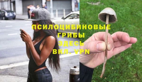 альфа пвп Армянск
