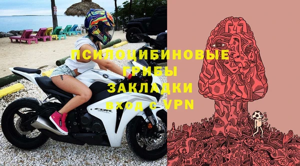 эйфоретик Арсеньев